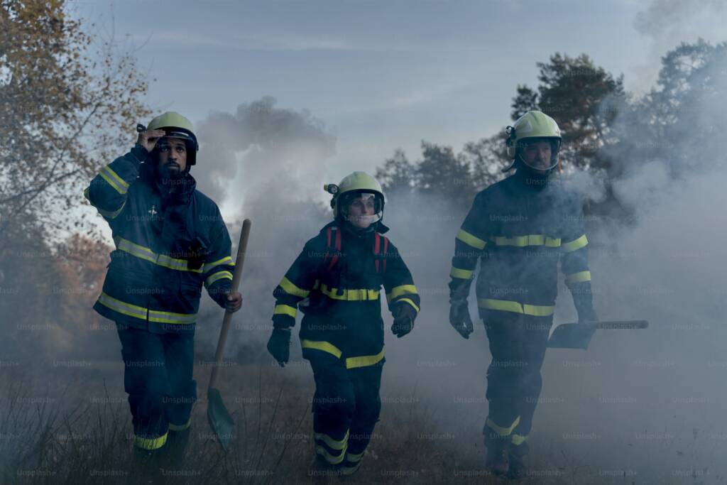 Interconnected Smoke Alarms